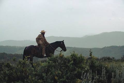 Cowboy riding his horse through the rain