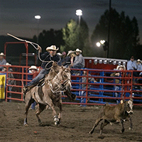 Steamboat Springs Pro Rodeo.