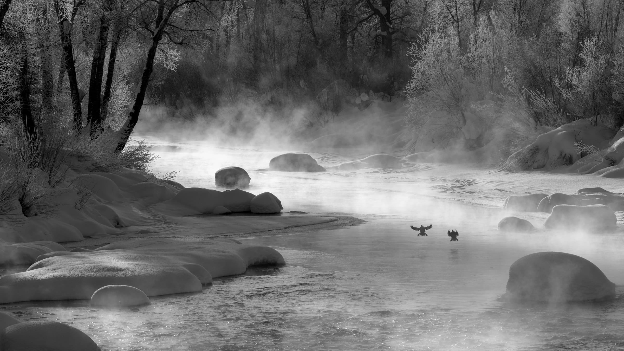 frosty morning on the Yampa river