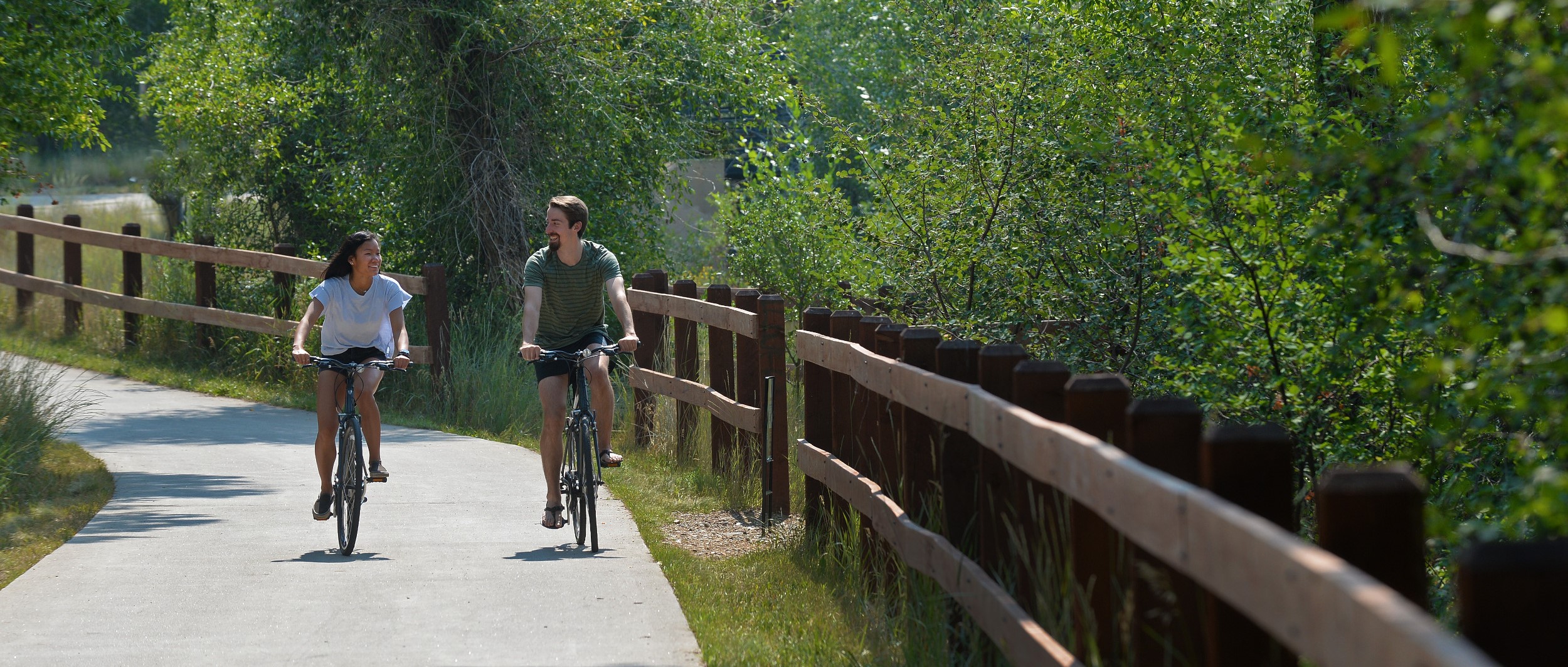 Cruiser sales bikes online