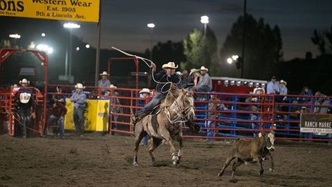 Calf roping at the Steamboat Rodeo.