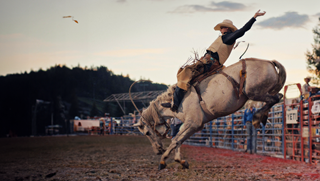 Bucking Bronc at the Steamboat Rodeo.