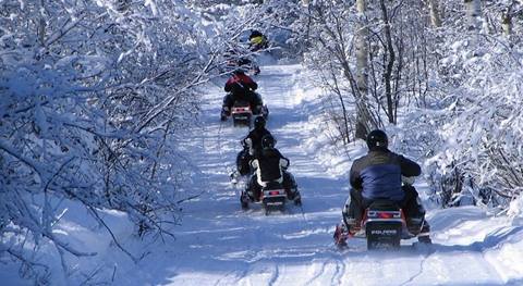 Saddleback Snowmobile