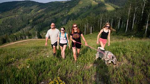 Summer Hiking Image