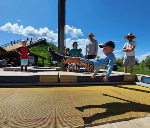 Trampoline aerial training