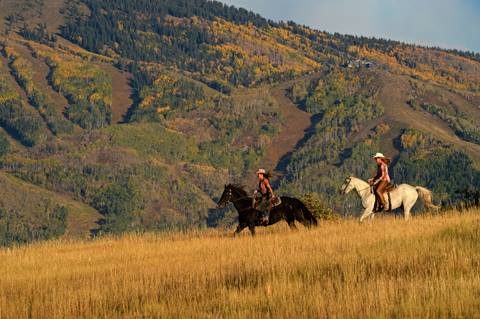 Horseback ride through the mountains