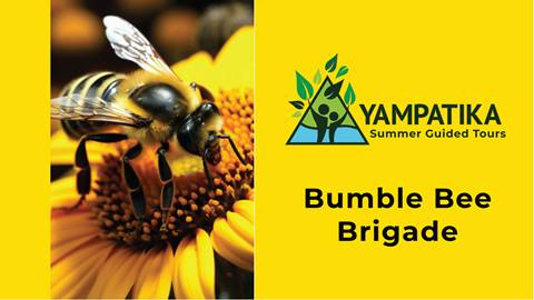 Bumble Bee
