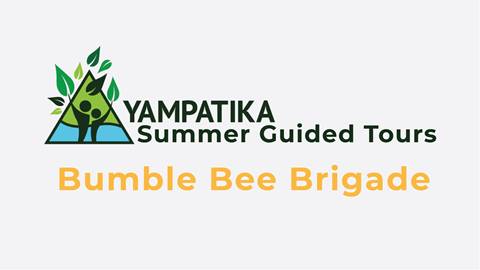 Bumble Bee New