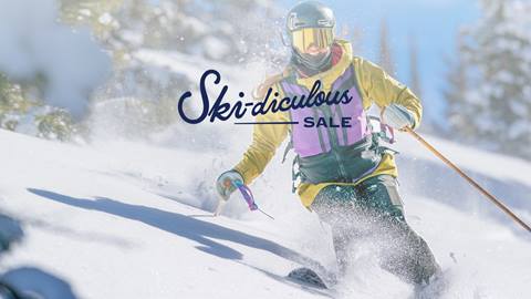 a skier skiing powder snow.