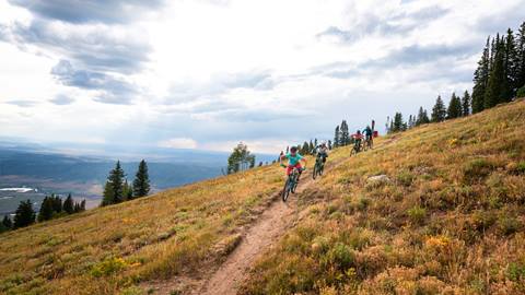 A group of mountain bikers riding on cross country trails at Steamboat Resort.