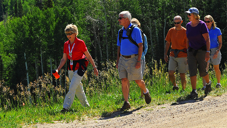 guided hiking tours