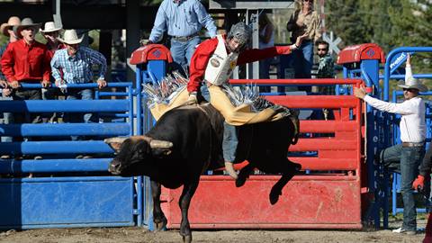 Pro Rodeo Series