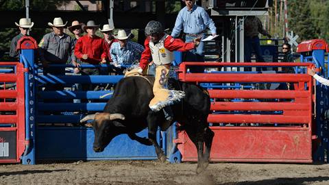 Rocky Mountain Bull Bash
