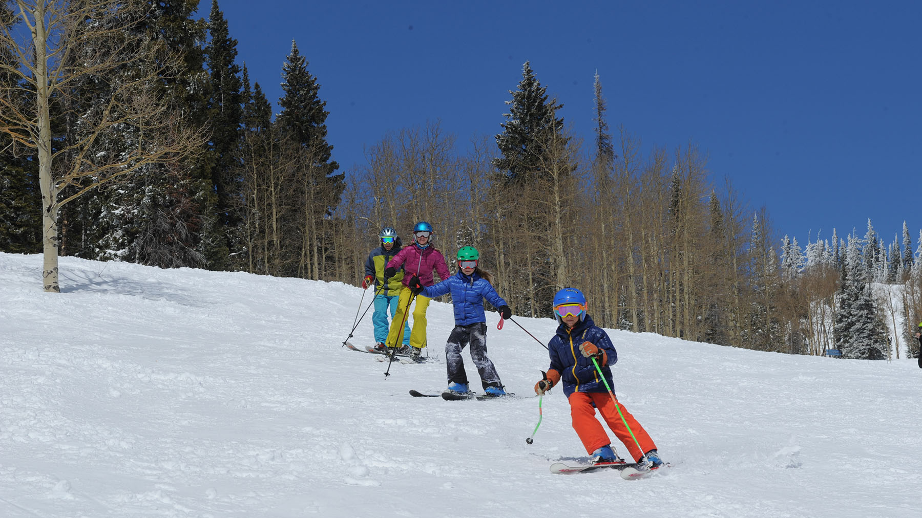 Ski Season Pass at Steamboat Resort Ski & Snowboard in Colorado