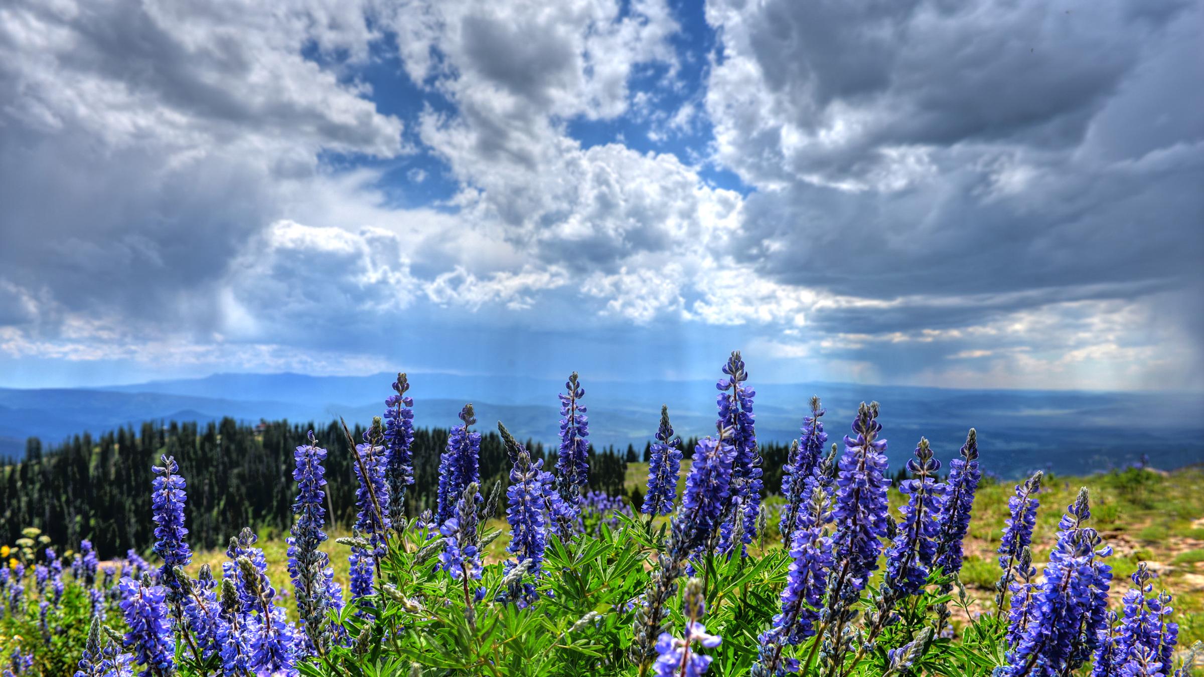 Colorado Ski Resort & Vacation Destination, Steamboat Resort